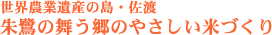 ���E�_�ƈ�Y�̓�����n
���̕������̂₳�����ĂÂ���