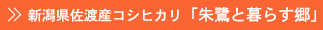�V�������n�Y�R�V�q�J���u���ƕ�炷���v