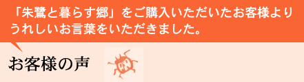 ���q�l�̐�