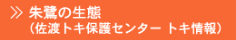 ���̐���
(���n�g�L�ی�Z���^�[ �g�L���)