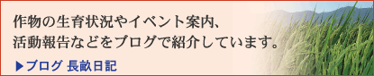 �앨�̐���󋵂�C�x���g�ē��A
�����񍐂Ȃǂ��u���O�ŏЉ�Ă��܂��B
�u���O �������L