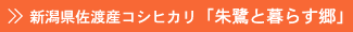 �V�������n�Y�R�V�q�J���u���ƕ�炷���v