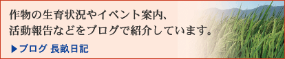 �앨�̐���󋵂�C�x���g�ē��A
�����񍐂Ȃǂ��u���O�ŏЉ�Ă��܂��B
�u���O �������L